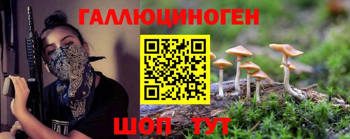 Псилоцибиновые грибы GOLDEN TEACHER  закладка  Батайск  Вход с VPN 